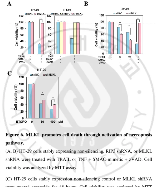 Figure  6.  MLKL  promotes  cell  death  through  activation  of  necroptosis  pathway