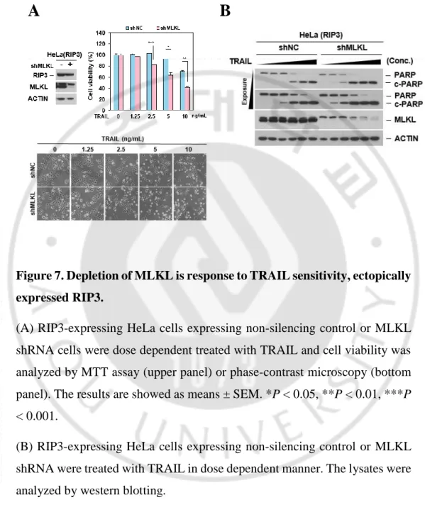 Figure 7. Depletion of MLKL is response to TRAIL sensitivity, ectopically  expressed RIP3