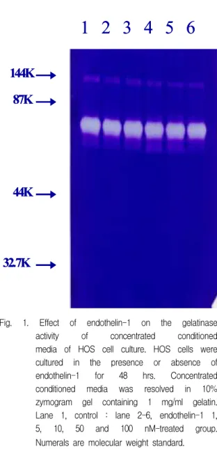 Table  5.  Effect  of  endothelin-1(Endo)  on  the  nitrite  production  in  the  HOS  cell  (48hr