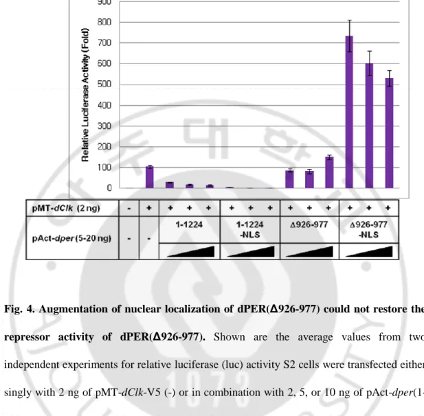 Fig. 4. Augmentation of nuclear localization of  dPER(Δ926-977) could not restore the  repressor  activity  of  dPER(Δ926-977)