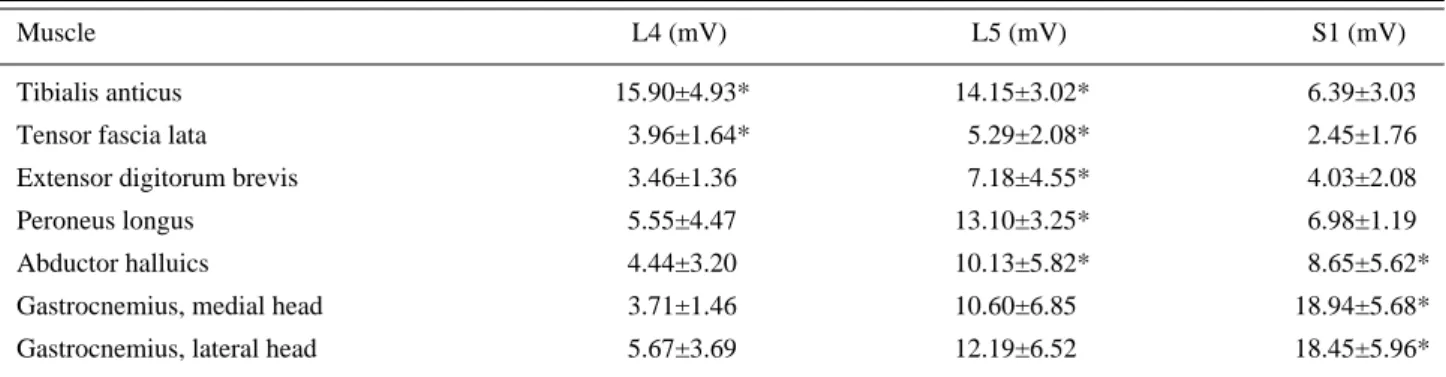 Fig. 1. An example of typical recordings obtained by stimula- stimula-tion of L4, L5, and S1 root: Extensor digitorum brevis