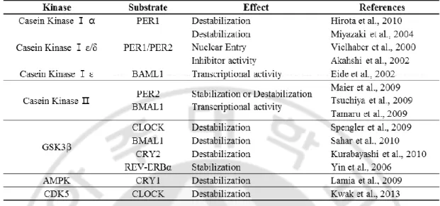 Table 1 Kinases which regulate circadian clock in mammals 