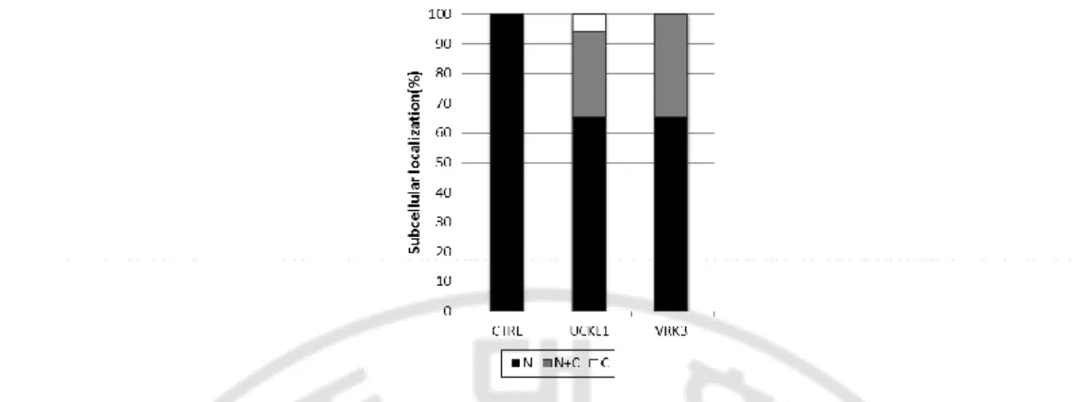 Figure  2  Kinases  altering  subcellular  localization  of  mCRY1  in  NIH  3T3  cells