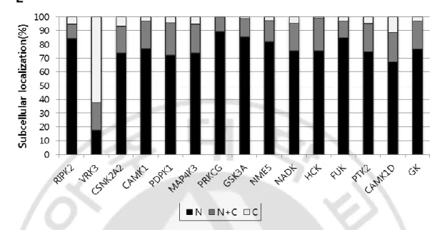 Figure 3 Quantification of subcellular localization of  mPER2 in HEK 293T cells. HEK  293T cells were transiently transfected with pUB6(A)-mper2-egfp either with  RFP (CTRL)  or  with  RFP-kinase  (indicated)