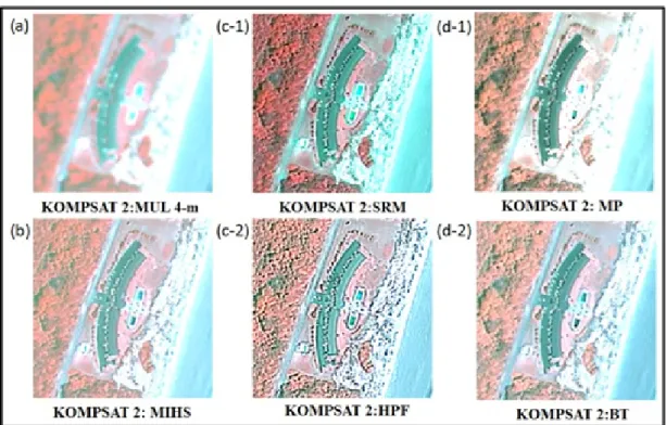 Figure 4. Results of image fusion (false color composite at a scale of 1:2,000). 영상 융합 결과