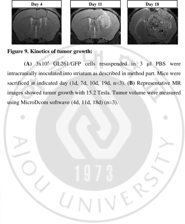 Figure 9. Kinetics of tumor growth: 