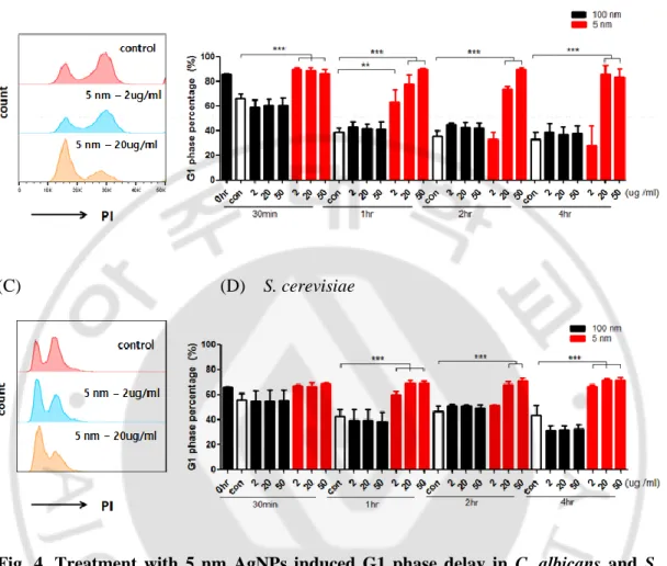 Fig.  4.  Treatment  with  5  nm  AgNPs  induced  G1  phase  delay  in  C.  albicans  and  S