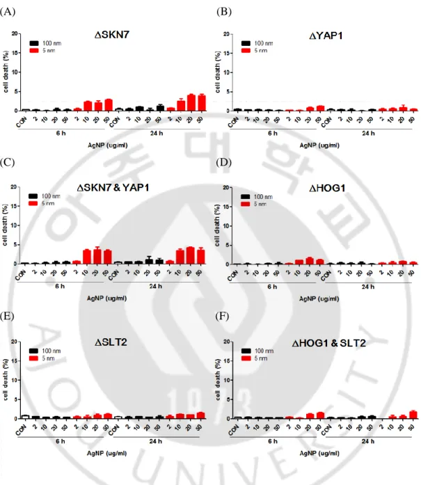 Fig.  6.  5  nm  AgNPs-induced  cell  death  of  S.  cerevisiae  were  similar  in  ∆SKN7,  ∆ YAP1,  ∆HOG1 and  ∆SLT2 mutants compared to wild type