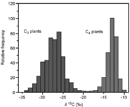 Figure 2. Relative frequency of δ 13 C signatures of C3 and C4 plants (modified from Johnson et al., 2007 after Cerling, 1999)