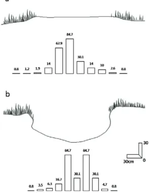 Figure 3. Symmetric trail. Lower bar graphs indicate soil hardness (kgf/㎠). a) flat, b) gully-like