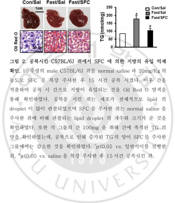 그림  2.  공복시킨  C57BL/6J  쥐에서  SFC 에  의한  지방의  유입  억제  확인. 10 주령의  male  C57BL/6J  쥐를  normal saline 과  20mg/Kg 의  농도로  SFC 를  복강  주사한  후  15 시간  공복  시켰다