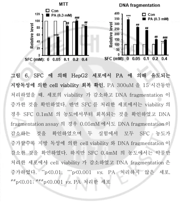 그림  6.  SFC 에  의해  HepG2  세포에서  PA 에  의해  유도되는  지방독성에  의한  cell  viability  회복  확인.  PA  300uM 을  15 시간동안  처리하였을  때