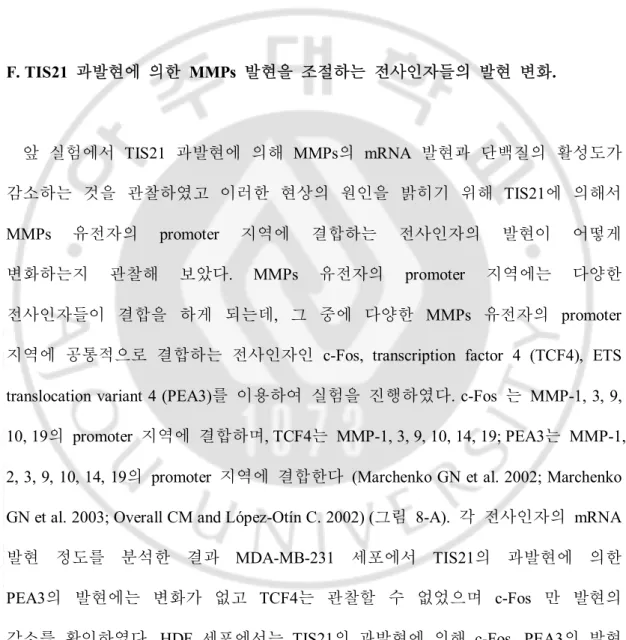 그림   7. HDF  세포에서  TIS21  과발현에  의한  MMPs  활성  억제. 