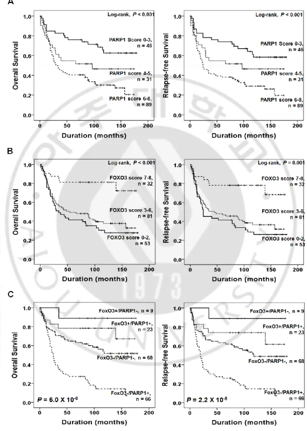 Figure  5.  Kaplan-Meier  survival  analysis  in  gastric  carcinomas  according  to  the 
