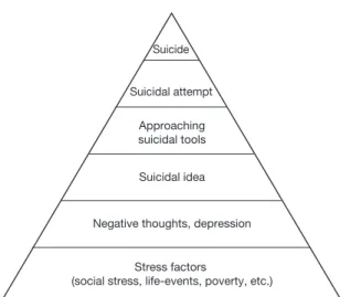 Figure 1.   The course of the suicidal process.