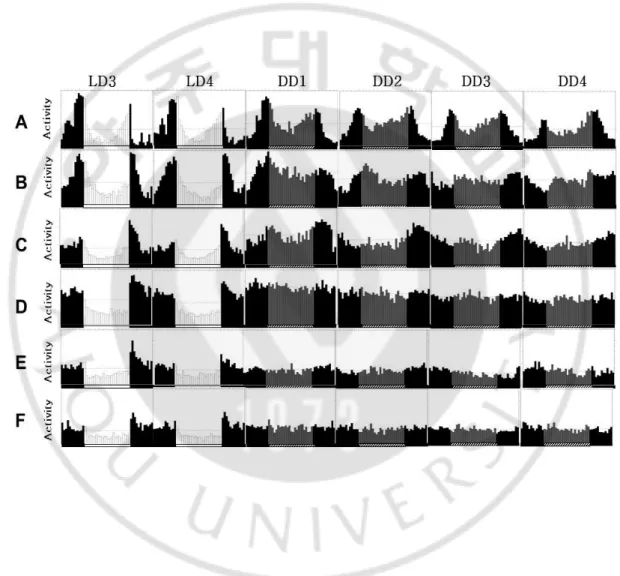 Fig. 7.Daily activity patterns of Clk-WT; Clk OUT  and Clk△657-707; Clk OUT