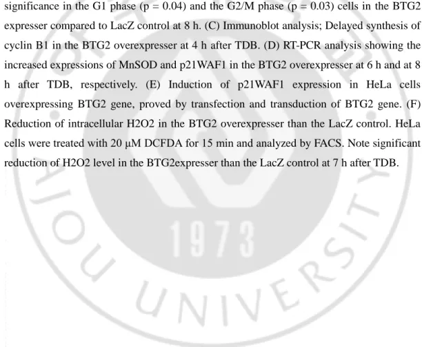 Figure 5. G2/M arrest along with reduction of H2O2 level in the BTG2 expresser.  