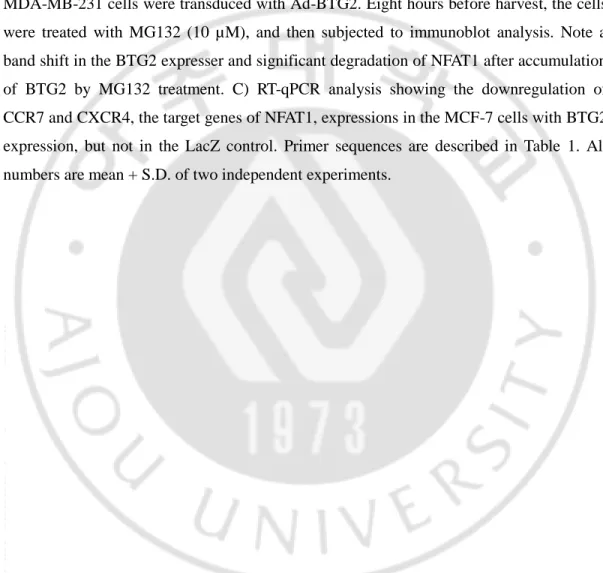 Figure  17. BTG2-dependent modification of NFAT1 protein can be regulated by  myristoylated AKT in the malignant breast cancer cells
