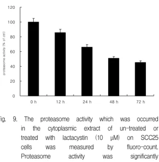 Fig.  9.  The  proteasome  activity  which  was  occurred  in  the  cytoplasmic  extract  of  un-treated  or  treated  with  lactacystin  (10  μM)  on  SCC25  cells  was  measured  by  fluoro-count