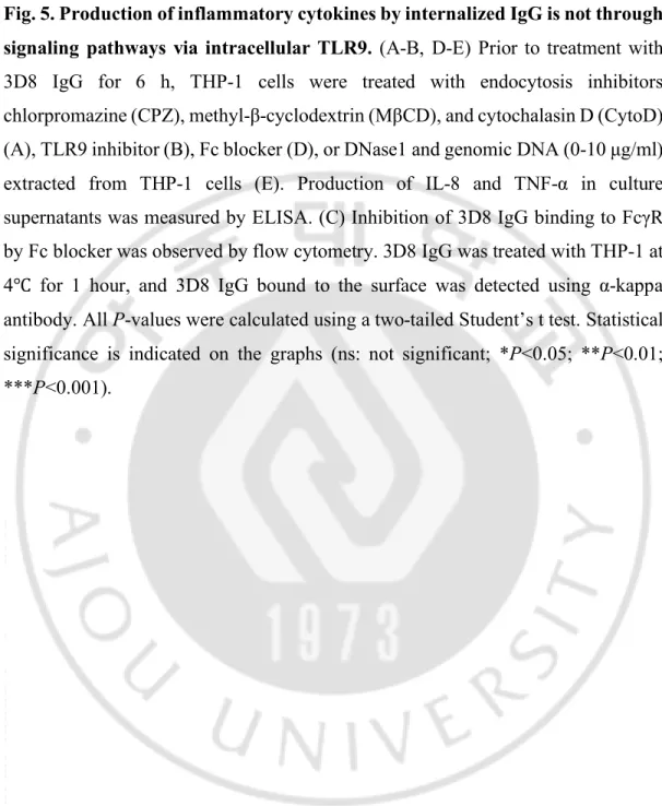 Fig. 5. Production of inflammatory cytokines by internalized IgG is not through  signaling  pathways  via  intracellular  TLR9