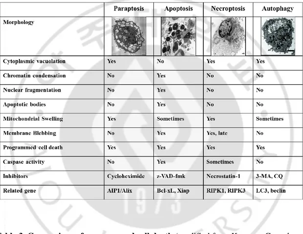 Table 3. Comparison of programmed cell death (modified from Kroemer G et al., 