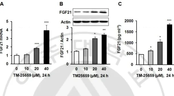 Fig. 9. Effects of TM-25659 on FGF21 expressions in skeletal muscle cells. C2 myoblasts  were differentiated into C2 myotubes and treated with 10–40 µM TM-25659 or vehicle