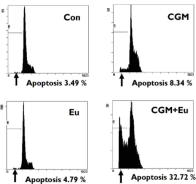 Fig. 4. The kinetic analysis of the effect of co-treatment on the induction of apoptosis