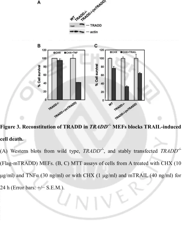 Figure 3. Reconstitution of TRADD in TRADD -/-  MEFs blocks TRAIL-induced  cell death