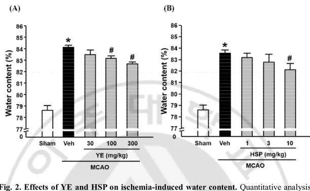 Fig. 2. Effects of YE and HSP on ischemia-induced water content. Quantitative analysis 