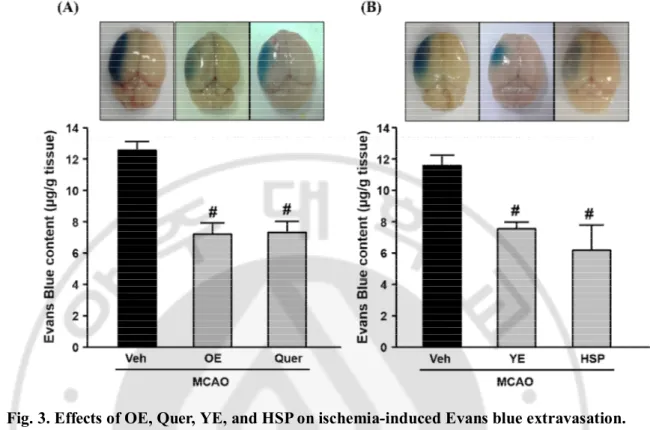 Fig. 3. Effects of OE, Quer, YE, and HSP on ischemia-induced Evans blue extravasation