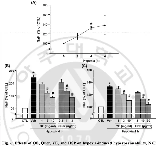Fig. 6. Effects of OE, Quer, YE, and HSP on hypoxia-induced hyperpermeability, NaF. 