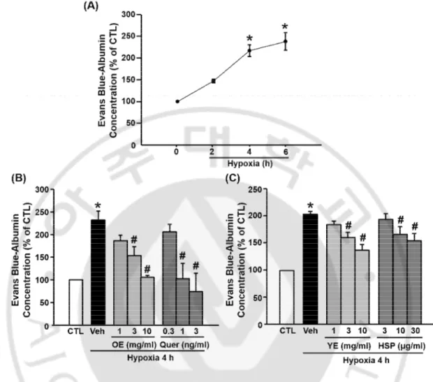 Fig. 7. Effects of OE, Quer, YE, and HSP on hypoxia-induced hyperpermeability, Evans  blue