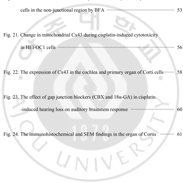 Fig. 19. Effect of cisplatin on cell viability in HeLa cells expressing Cx43-FL, NT 