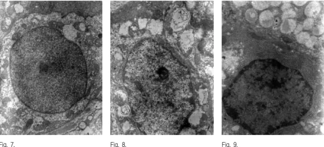 Fig.  7. Fig.  8. Fig.  9.