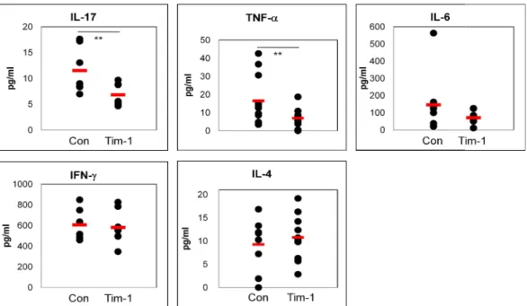 Figure  7.  Tim-1  vector  administration  decreased  pro mice. Two weeks after first injection