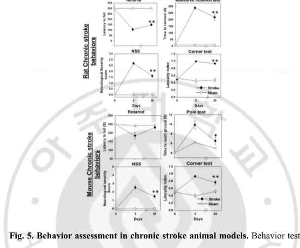 Fig. 5. Behavior assessment in chronic stroke animal models. Behavior tests 