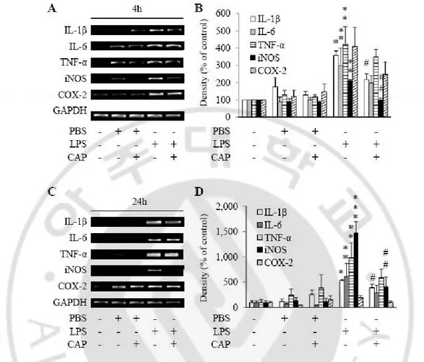 Fig. 8. CAP inhibits LPS-induced mRNA production of IL-1β and iNOS in the SN. PBS 