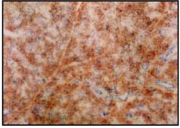 Fig.  3. Fig.  4.