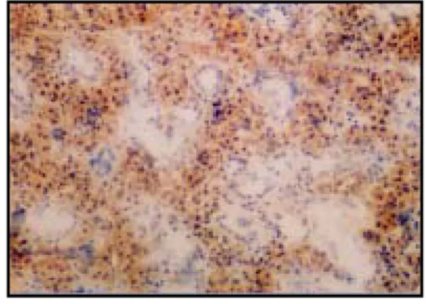 Fig.  9. Fig.  10.