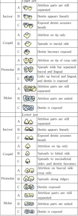 Fig.  3.  The  Calculating  Table  for  Age  Estimation