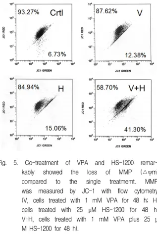 Fig.  7.  The  confocal  microscopy  showed  that  AIF  was  evidently  translocated  onto  nuclei  in  HOS  cells  co-treated  with  VPA  and  HS-1200  (V,  cells  treated  with  1  mM  VPA  for  48  h;  H,  cells  treated  with  25  μM  HS-1200  for  48 