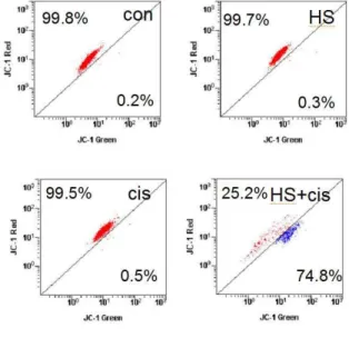 Fig. 4. Co-treatment with HS-1200 and cisplatin significantly showed the reduction of proteasome activity in SCC25 cells compared to the single treatment