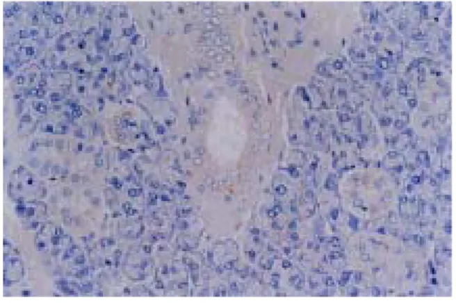 Fig.  3. Fig.  4.