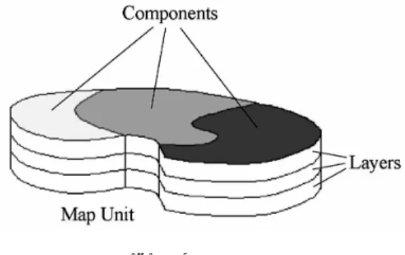 Fig. 2.  STATSGO map unit