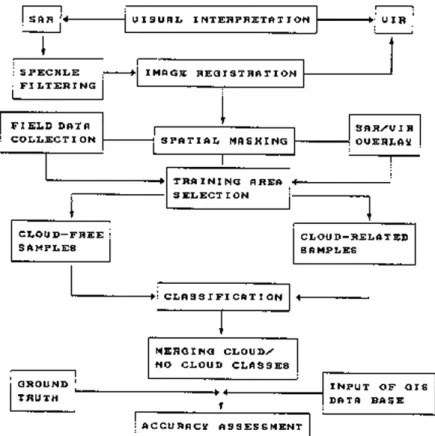 Figure 2.  Flowchart of the data analysis procedure 
