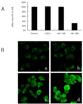 Fig.  8.  AIF  involves  apoptosis  in  YD9  cells  treated  with  synthetic  CDCA  derivatives  HS-1199  and  HS-1200  at  50  μM  for  5  h