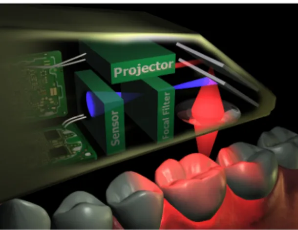 Fig. 1. Confocal laser scanner microscopy.