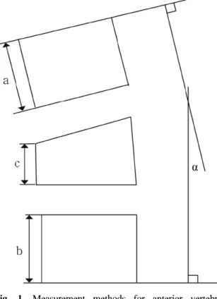 Fig.  1.  Measurement  methods  for  anterior  vertebral  height  and  kyphotic  angle  (α).