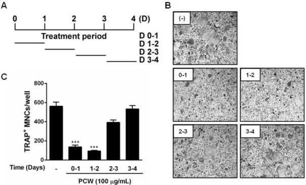 Fig.  2. Poria  cocos  Wolf  (PCW)  inhibits  the  early  stage  of  osteoclast  differentiation