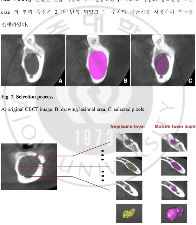 Fig. 2. Selection process 